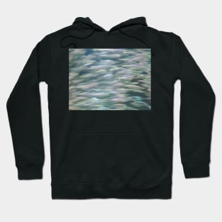 Fish in Motion Hoodie